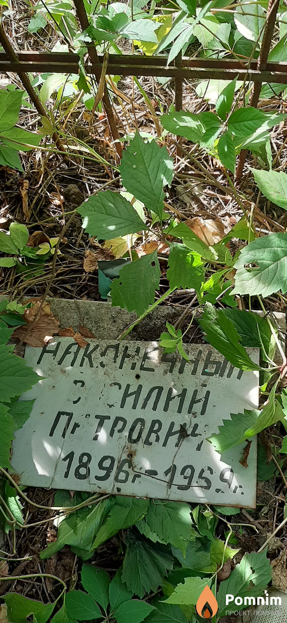 Наконечный Василий Петрович
