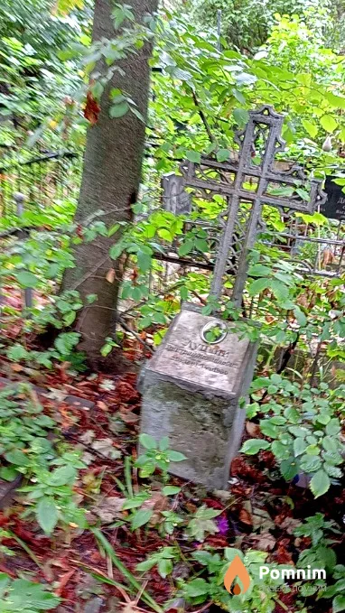 Луцкий Дмитрий Михайлович
