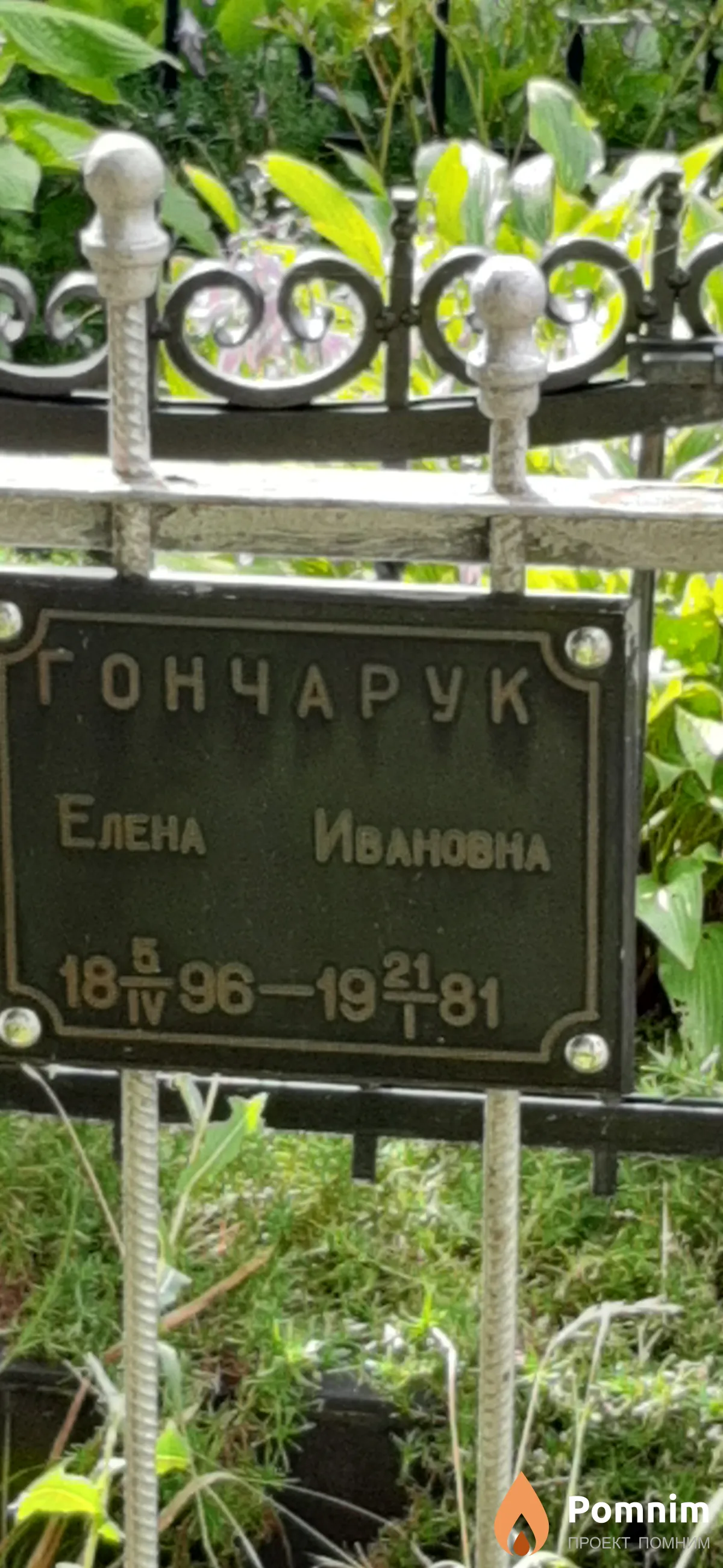 Гончарук Елена Ивановна