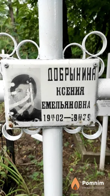 Добрынина Ксения Емельяновна