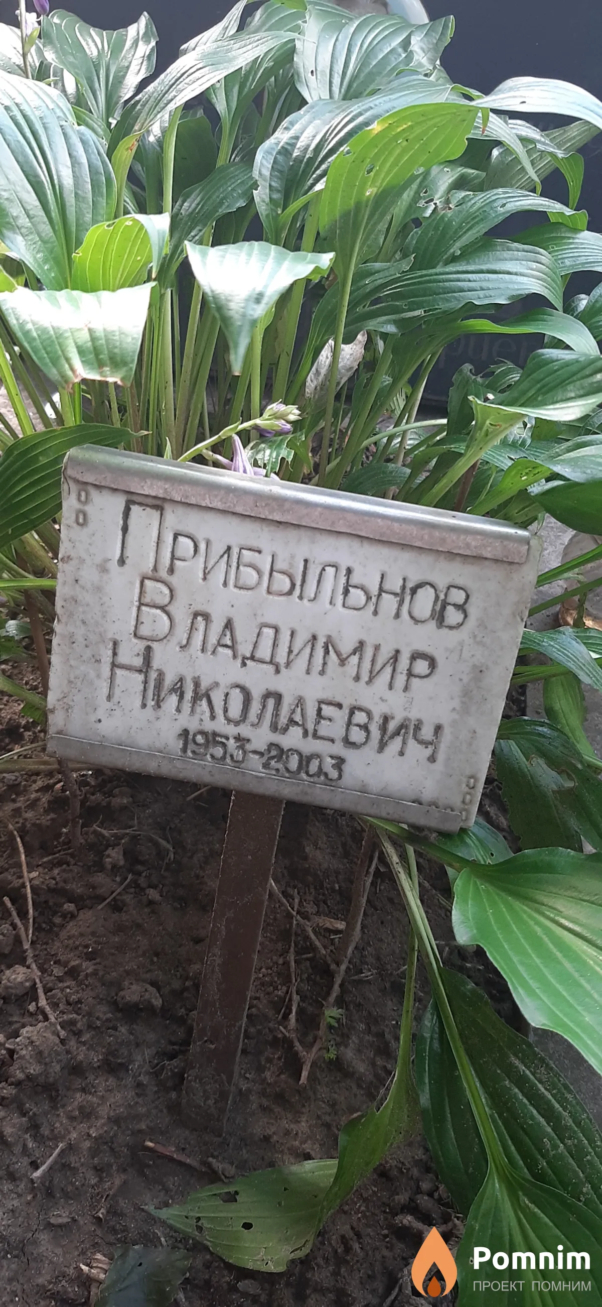 Прибыльнов Владимир Николаевич