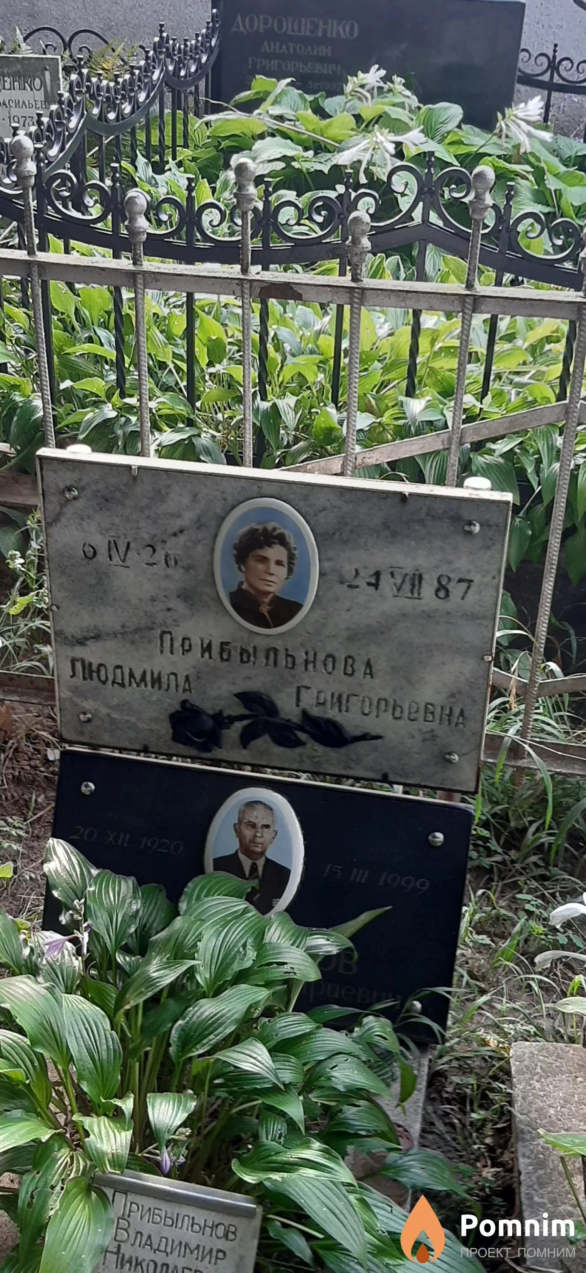Прибыльнова Людмила Григорьевна