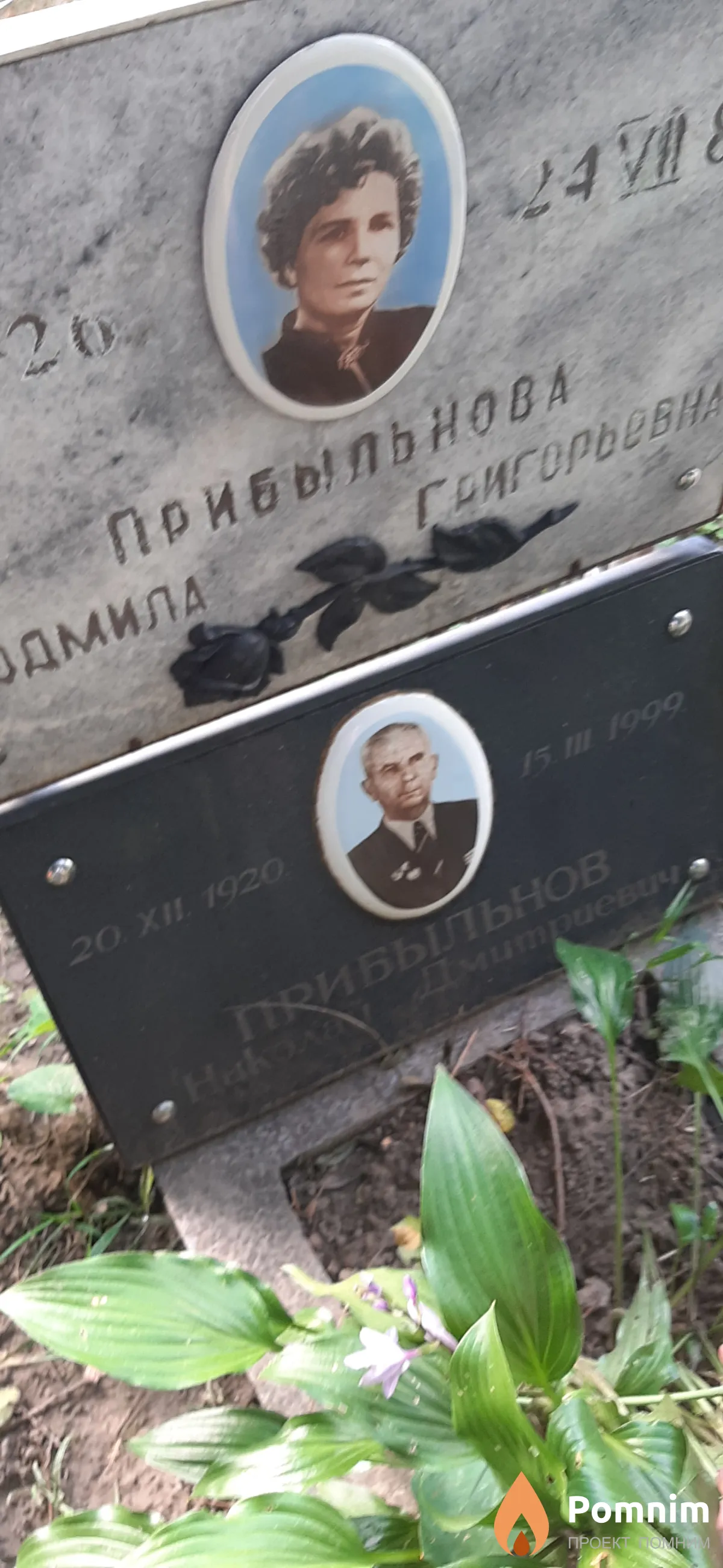 Прибыльнов Николай Дмитриевич