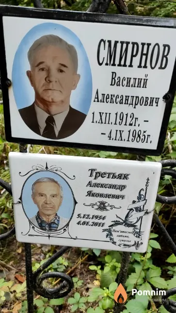 Третьяк Александр Яковлевич