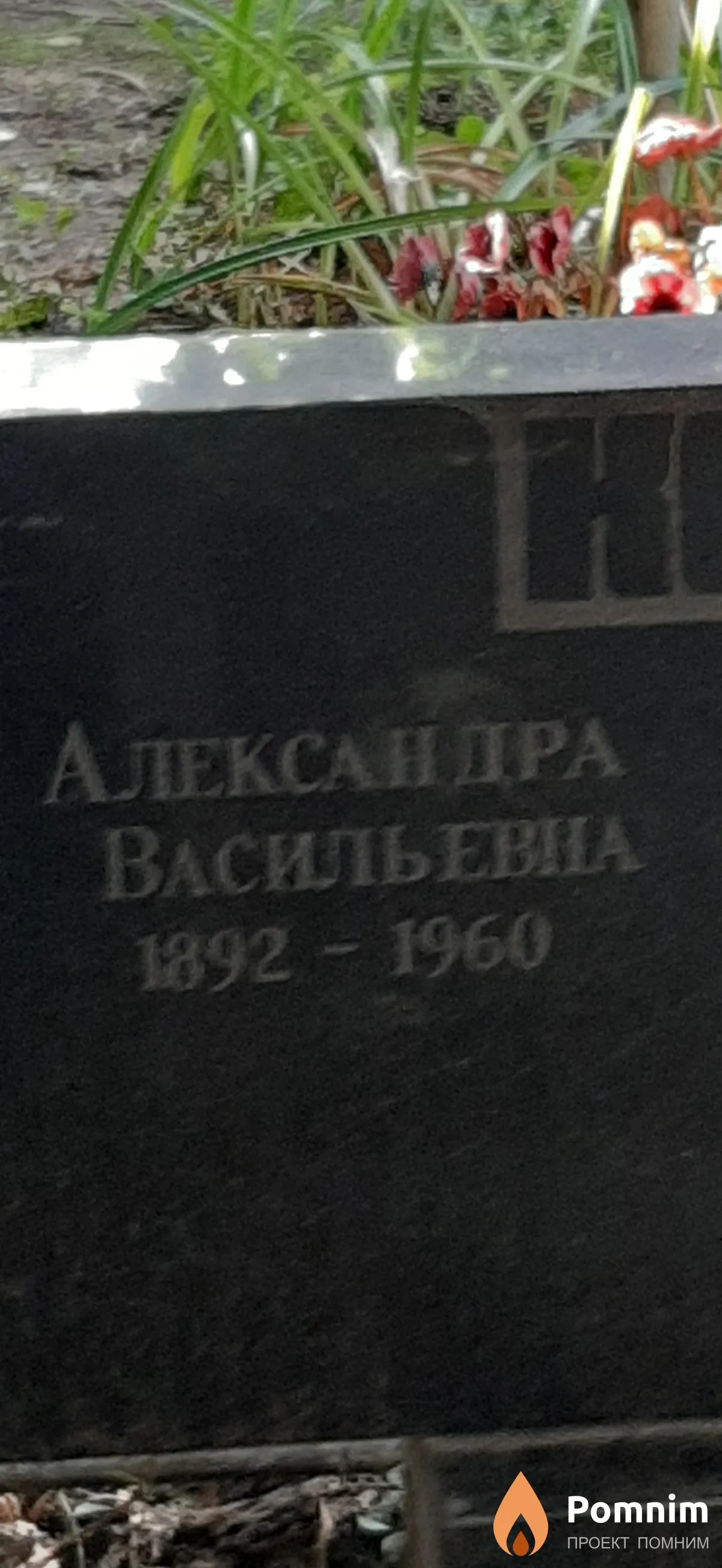 Кокорина Александра Васильевна