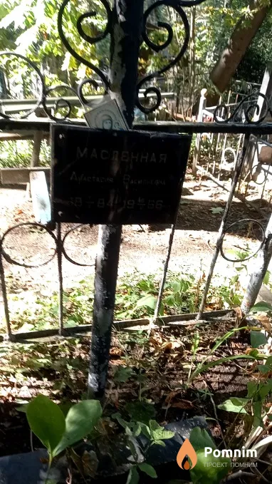 Масленная Анастасия Васильевна