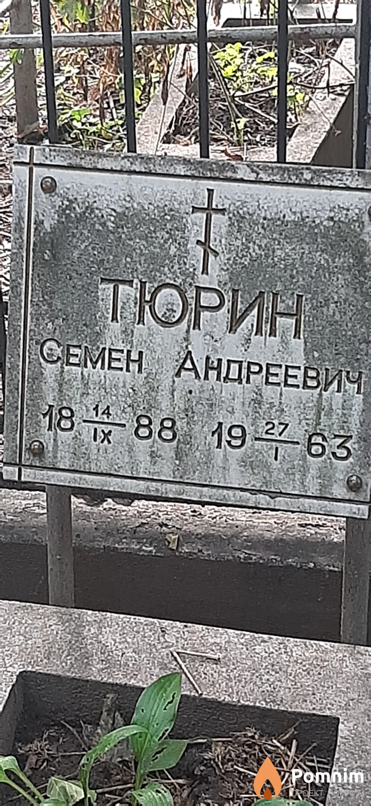 Тюрин Семен Андреевич