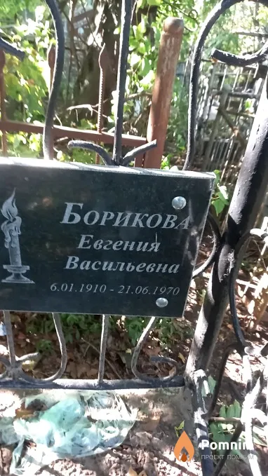Борикова Евгения Васильевна