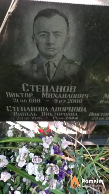 Степанова-Дворцова Нинель Викторовна
