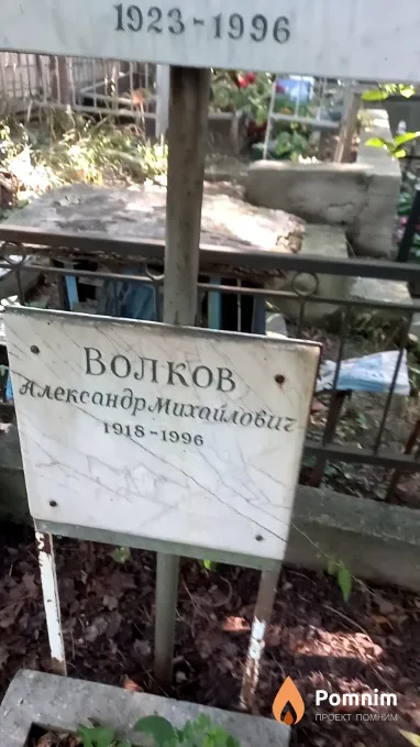 Волков Александр Михайлович