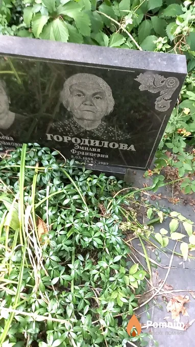 Городилова Эмилия Францевна