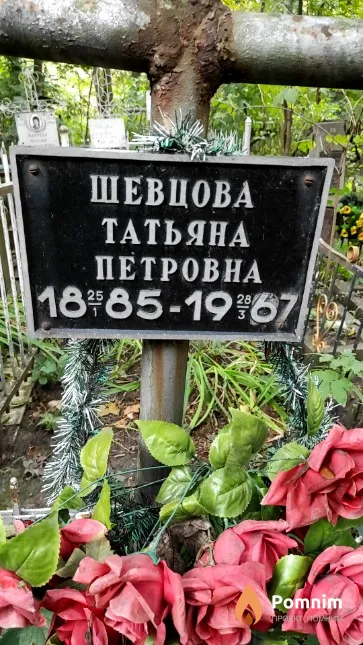 Шевцова Татьяна Петровна