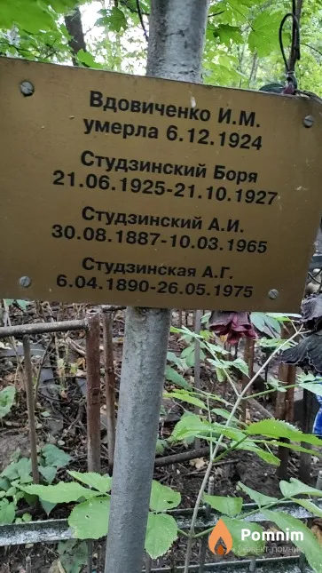 Студзинский А И.