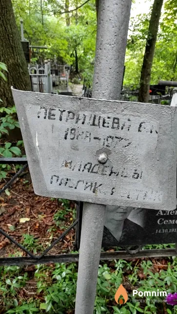 Петрищева Р. К.