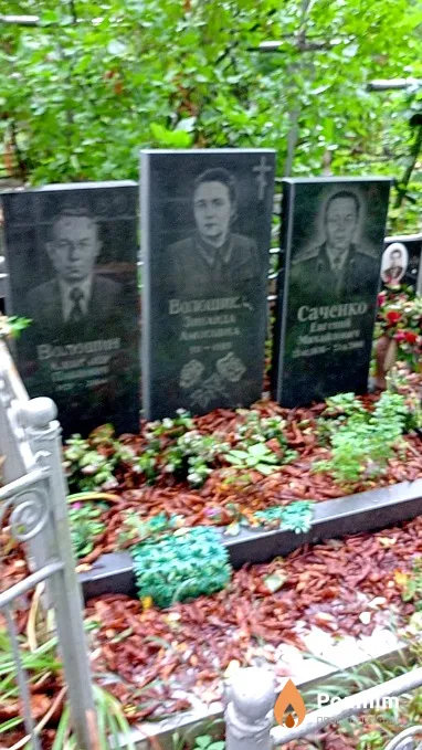 Волошин Александр Павлович
