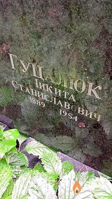 Гуцалюк Никита Станиславович