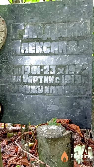 Гладкий Александр