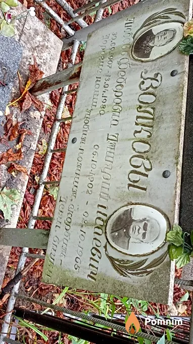 Волков Дмитрий Исаевич