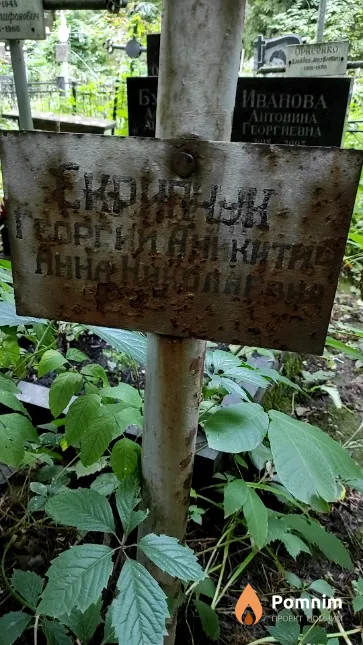 Скрипчук Анна Николаевна