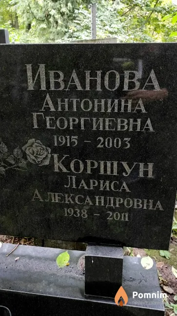 Коршун Лариса Александровна