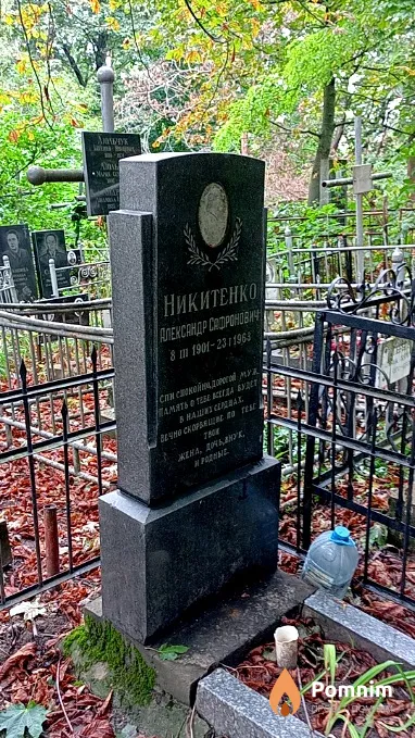 Никитенко Александр Сафронович