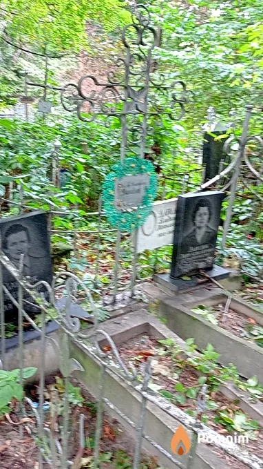 Давидюк Екатерина Владимировна