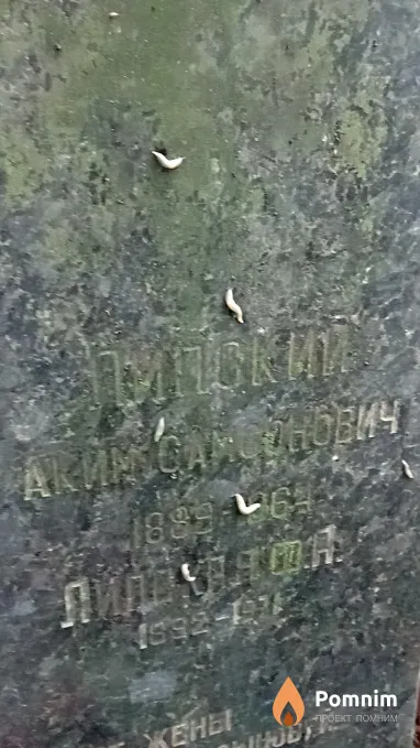 Липская Ф А