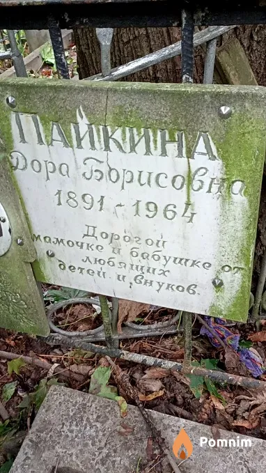 Пайкина Дора Борисовна