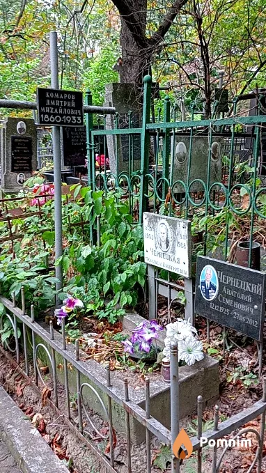 Чернецкий Анатолий Семенович