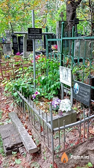 Комаров Дмитрий Михайлович