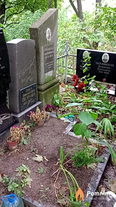 Петрова Ольга Николаевна