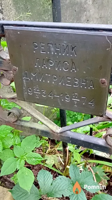 Репник Лариса Дмитриевна