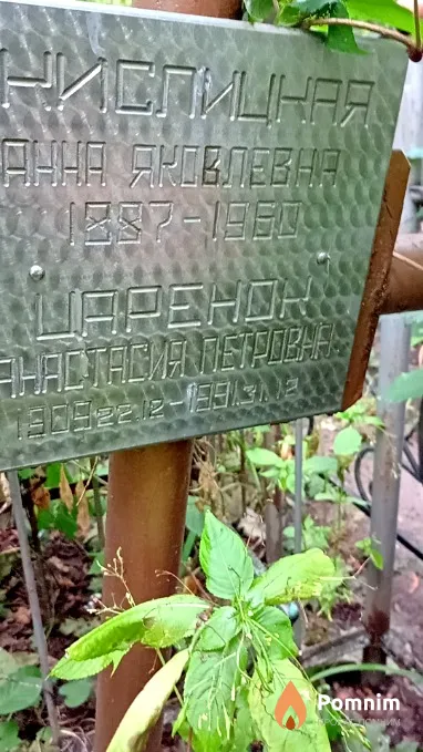 Царенок Анастасия Петровна
