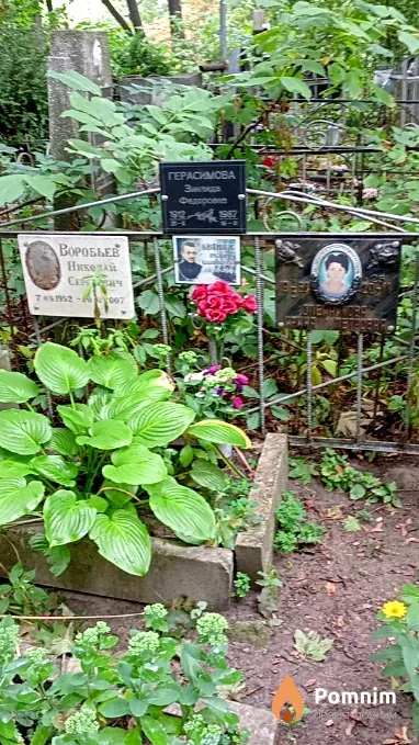 Воробьев Николай Сергеевич