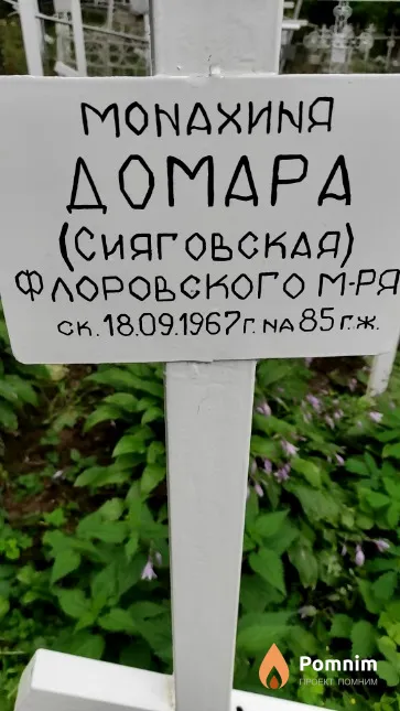 Сияговская Домара