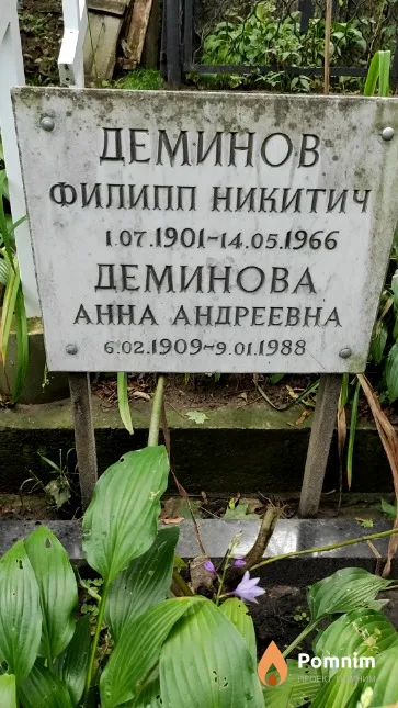 Деминов Филипп Никитич