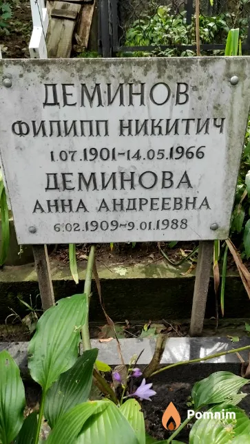 Деминова Анна Андреевна