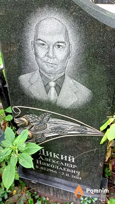 Дикий Александр Николаевич
