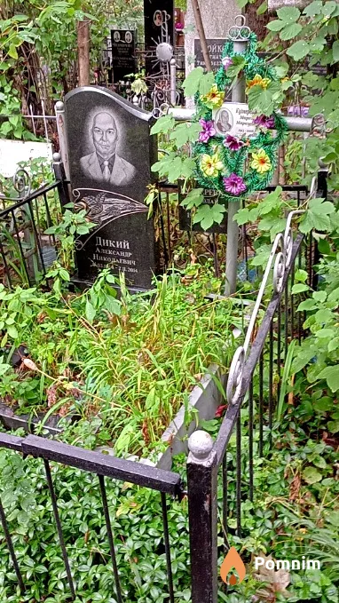 Кузнеревич Николай Северьянович