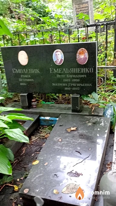 Емельяненко Петр Кирилович