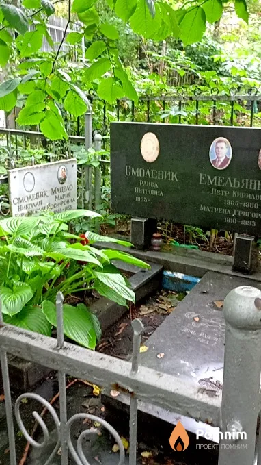 Смолевик Николай Ефимович