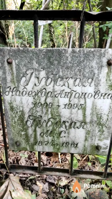 Губская М. С.
