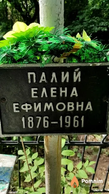 Палий Елена Ефимовна