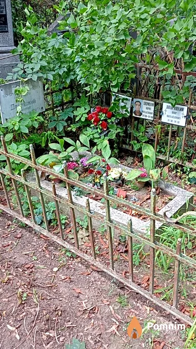Дворицкий Олег Михайлович