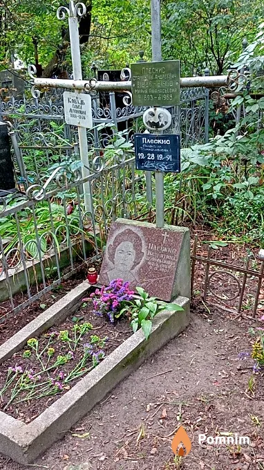 Плескис Станислав Андреевич
