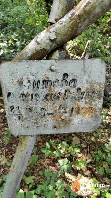 Титова Анастасия Львовна