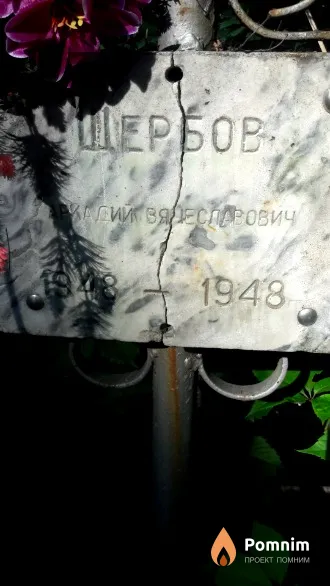 Щербов Аркадий Вячеславович