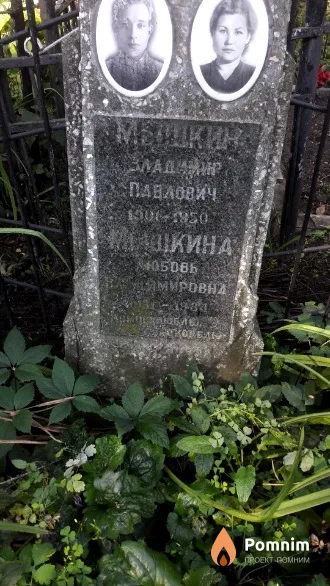 Мышкин Владимир Павлович