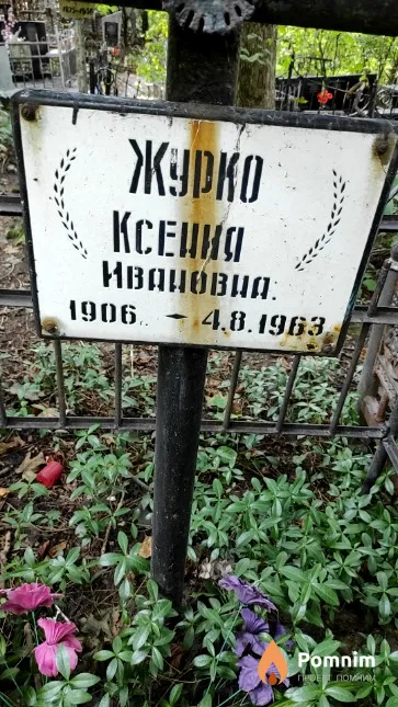 Журко Ксения Ивановна