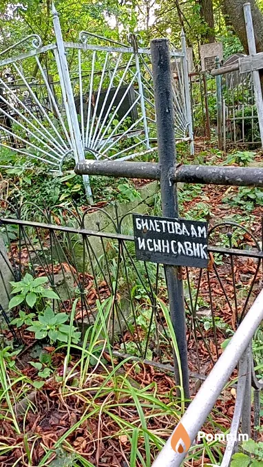 Билетова А М